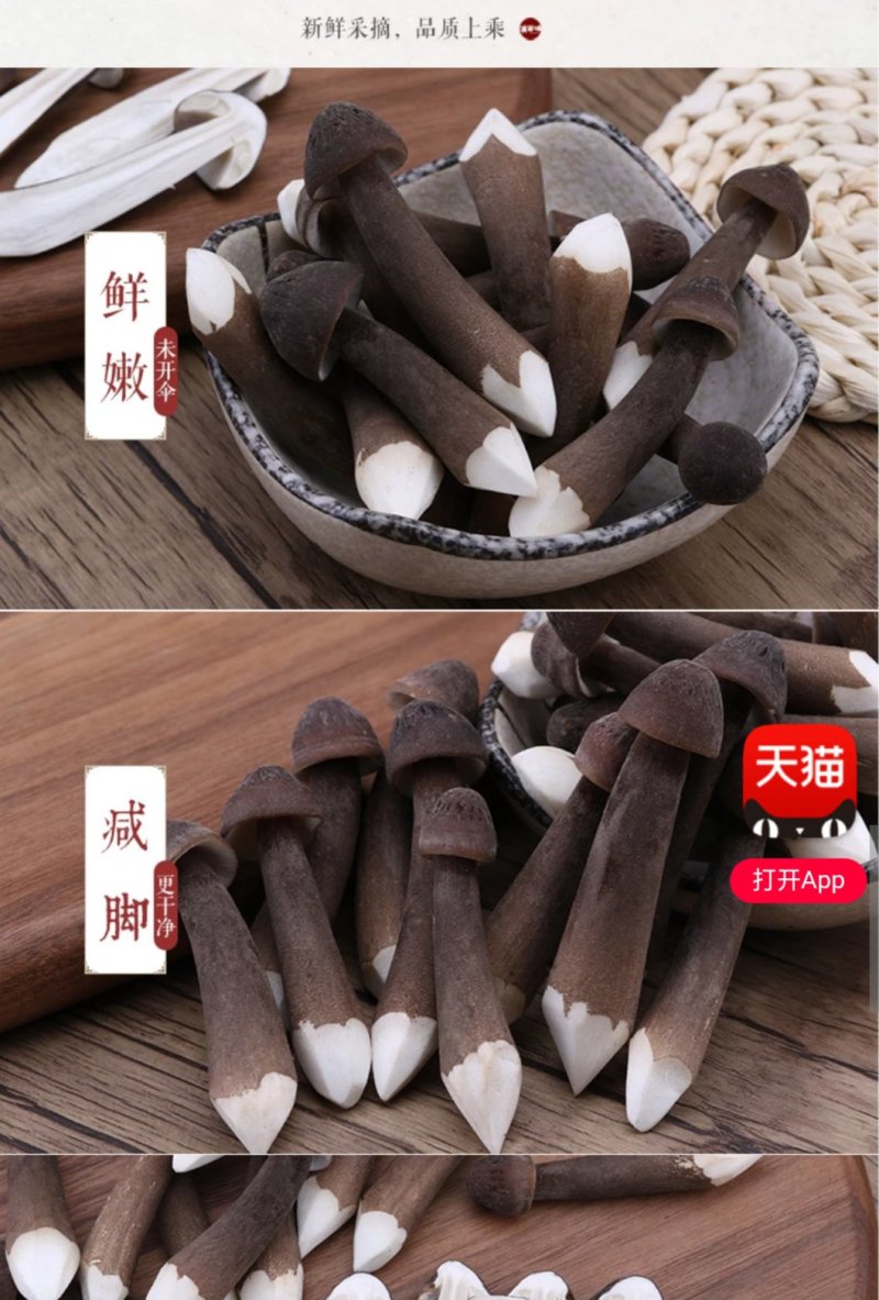 精品黑皮鸡枞菌