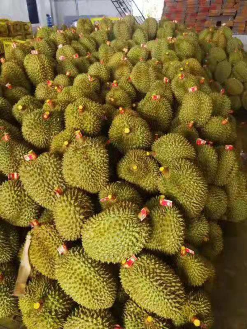 泰国金枕头榴莲