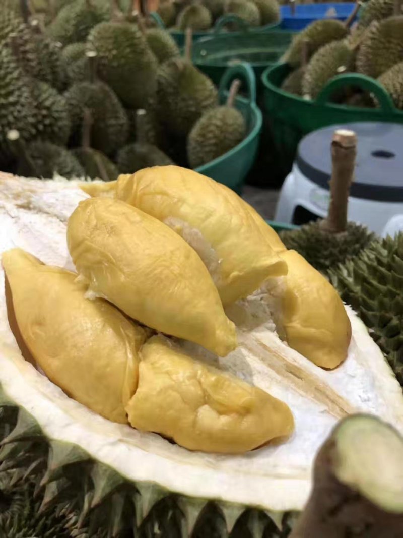 泰国金枕头榴莲