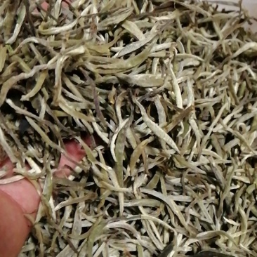 茶叶
