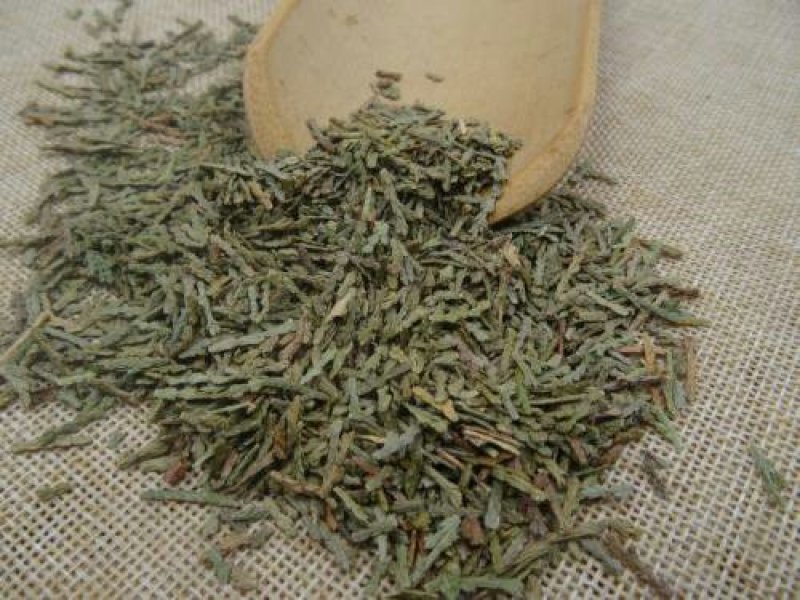 侧柏叶千余品种供应承接订单