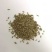 冬牧70黑麦草籽种优质牧草种子鸡鸭鹅牛羊马猪喂养