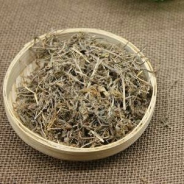 垂盆草千余品种供应承接订单