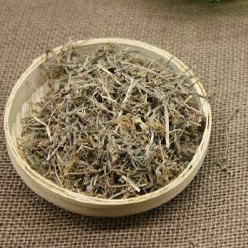 垂盆草千余品种供应承接订单