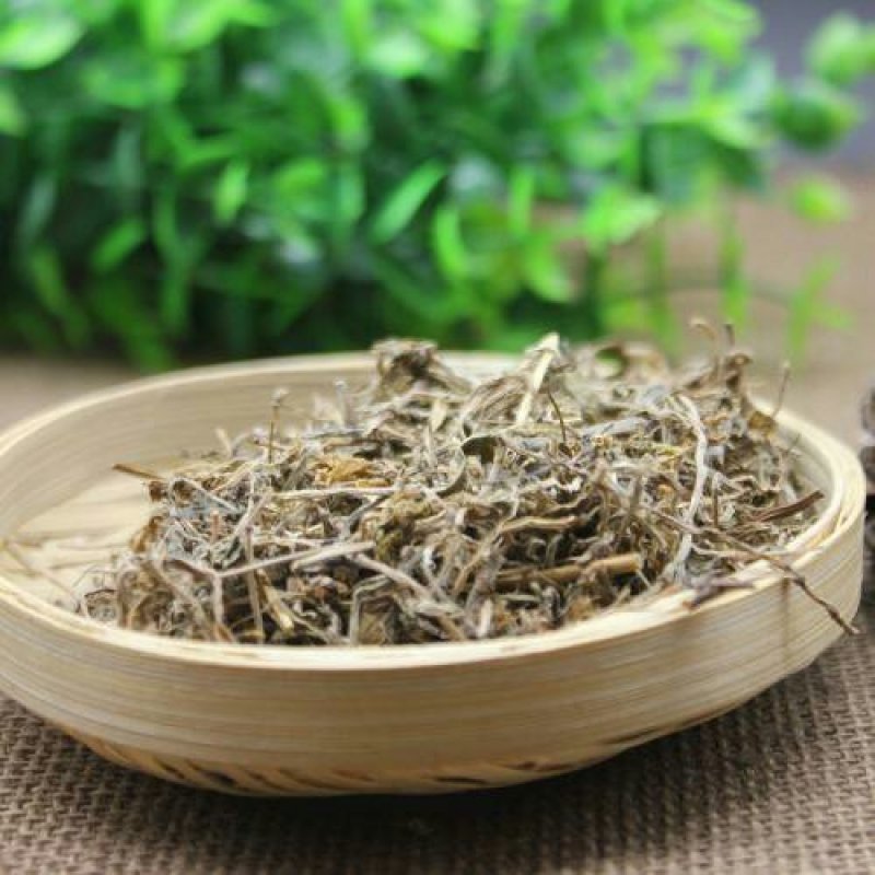 垂盆草千余品种供应承接订单