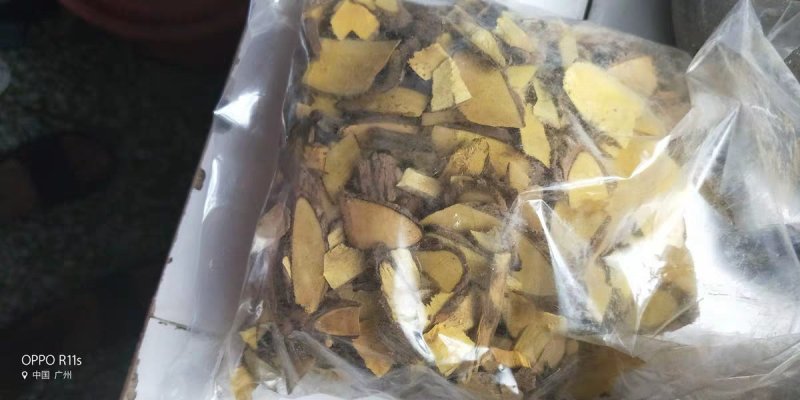 功劳木两斤包邮土黄柏黄天竹鼠不爬山黄柏十大功劳