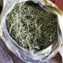 🔥🔥🔥纯手工张家口豆角丝蔚县架豆王豆角干欢迎咨询