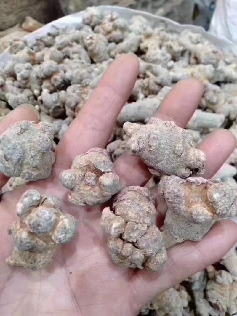 三七，正宗文山三七，可配4/3/2宝压片保健代客免费打粉