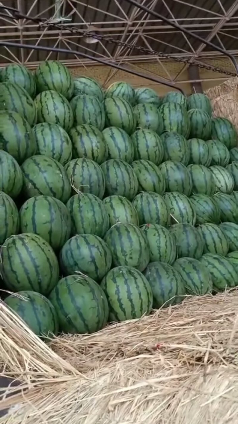 甜王西瓜、大量现货好好