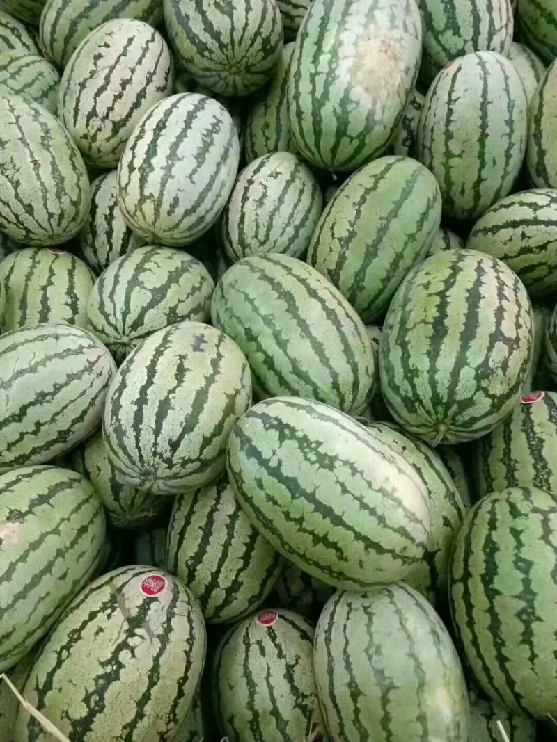 甜王西瓜、大量现货好好