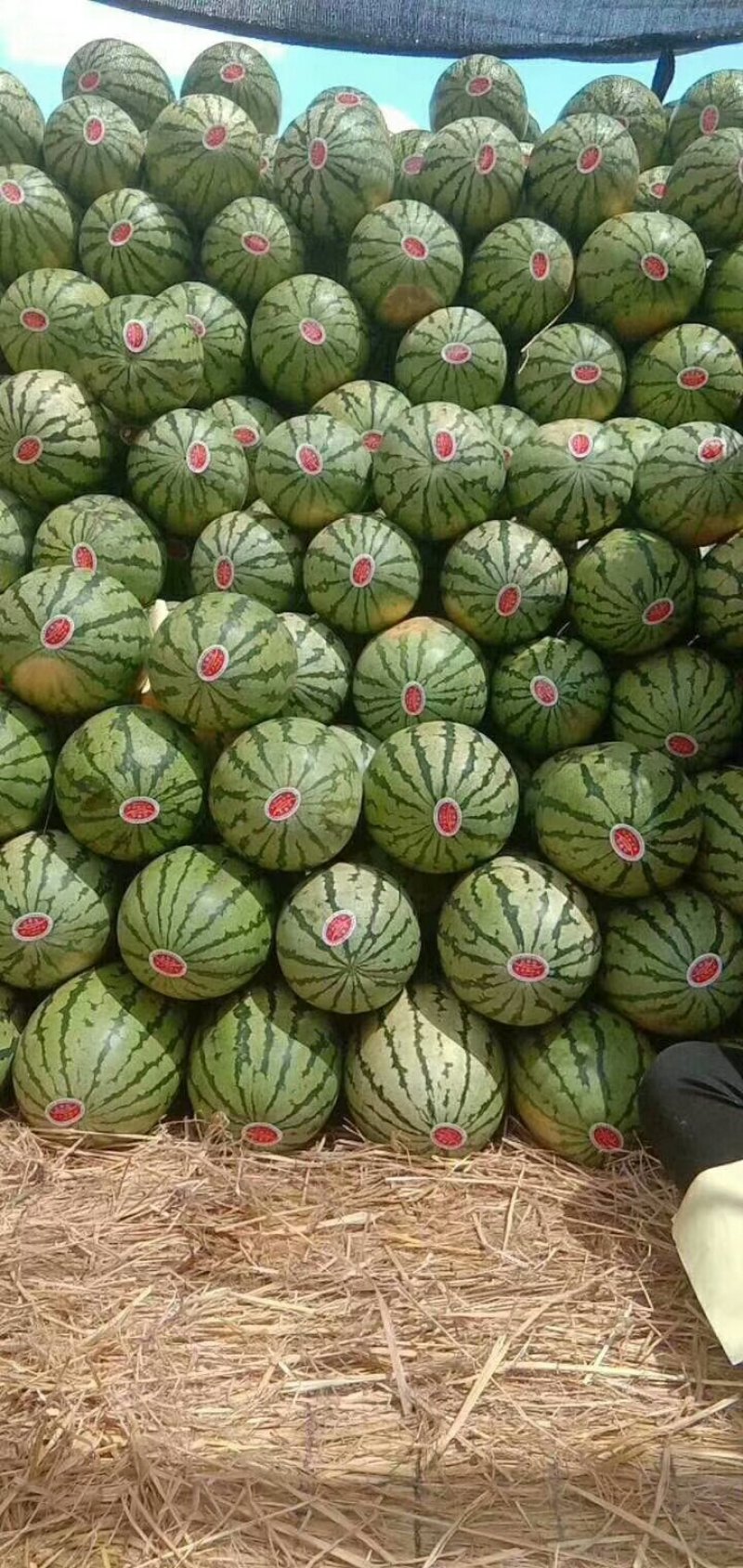 甜王西瓜、大量现货好好