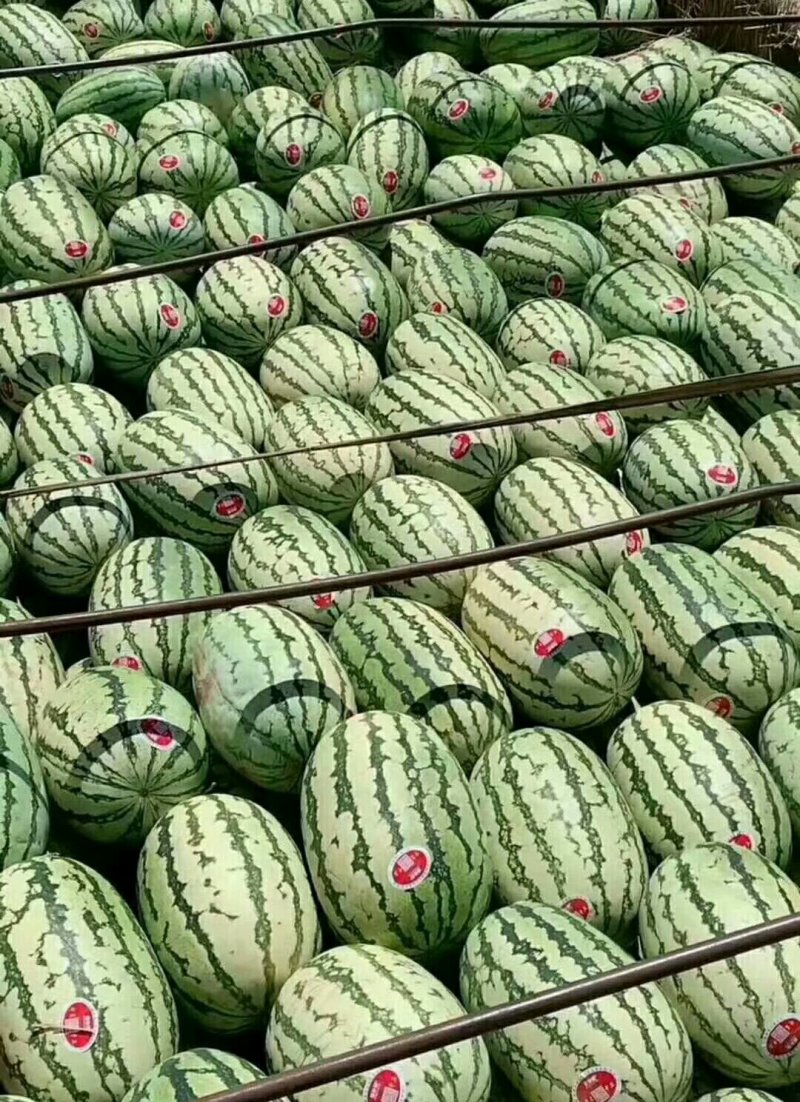 甜王西瓜、大量现货好好