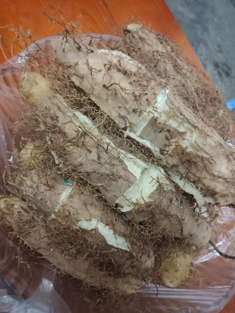 毛薯