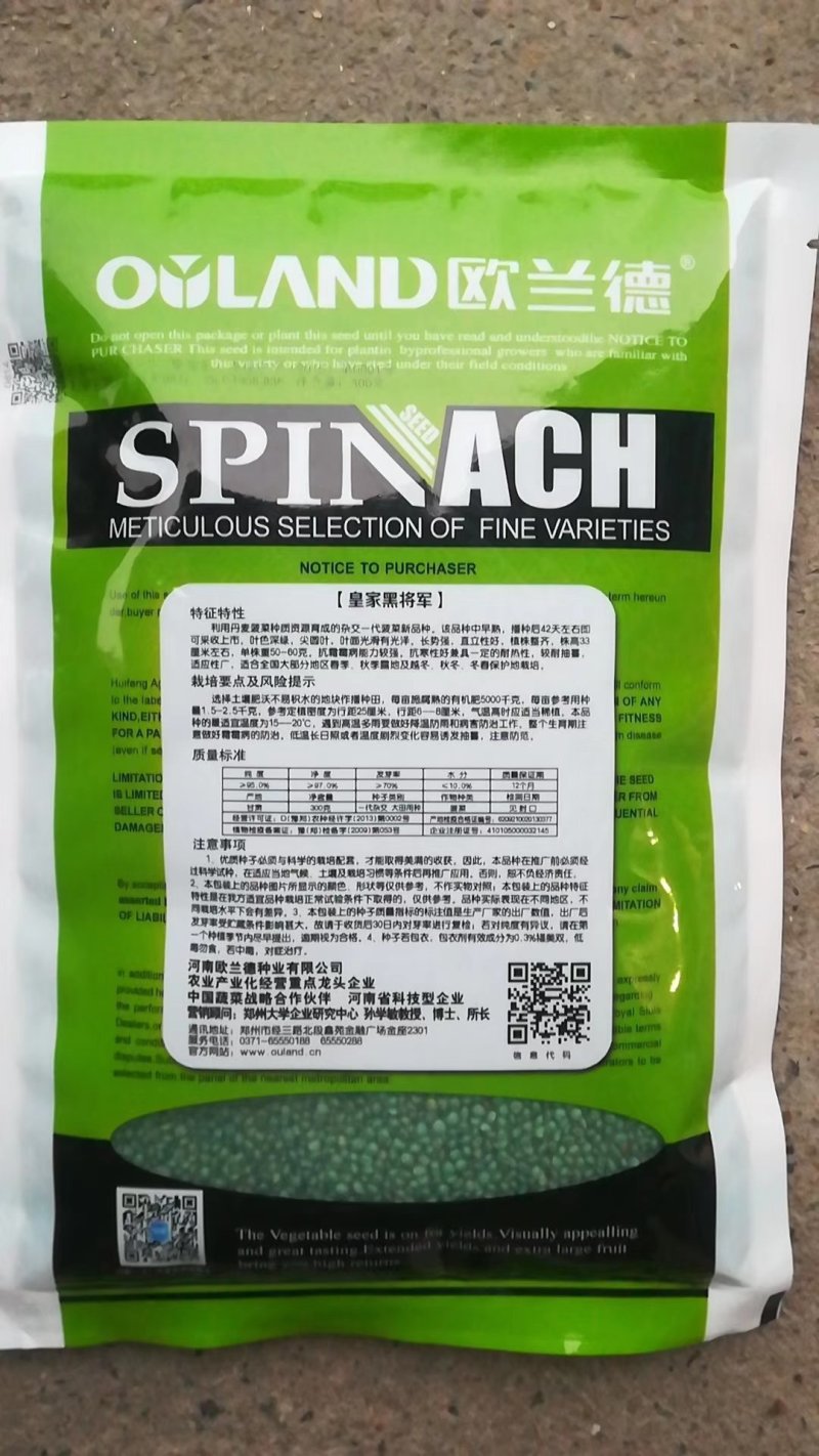 皇家黑将军菠菜种子早熟叶色深绿尖圆叶