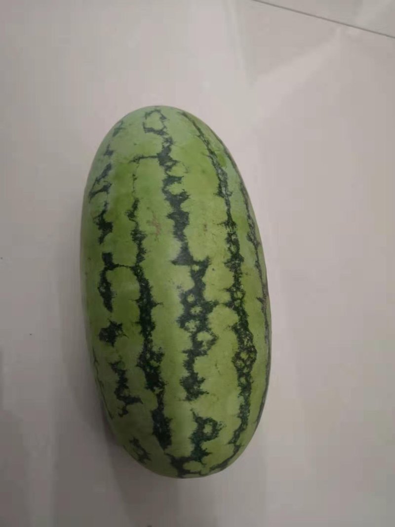 精品绿裳西瓜