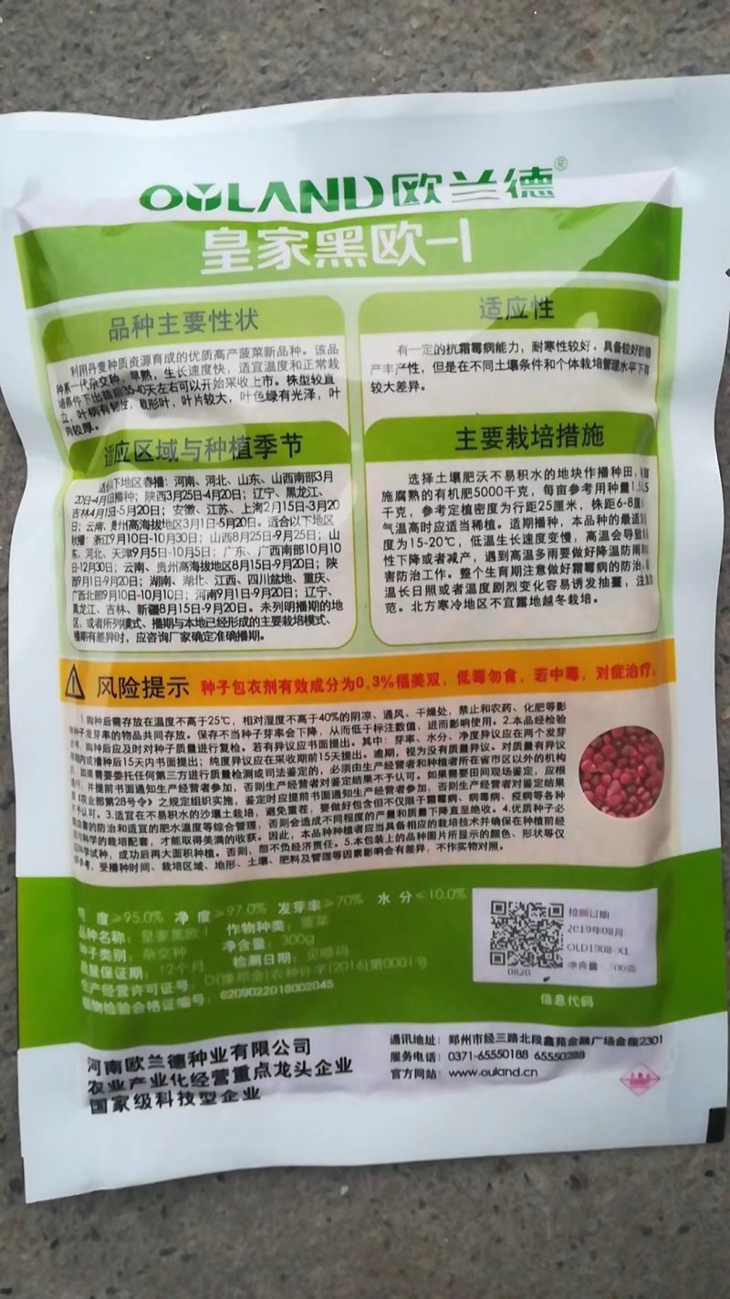 皇家黑欧菠菜种子早熟生长速度快叶片较大叶肉较厚