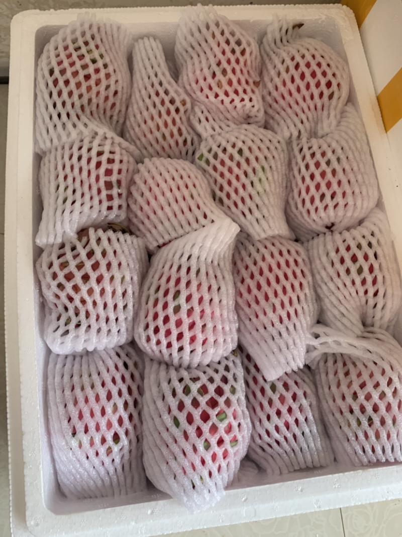 金都一号云南红心火龙果