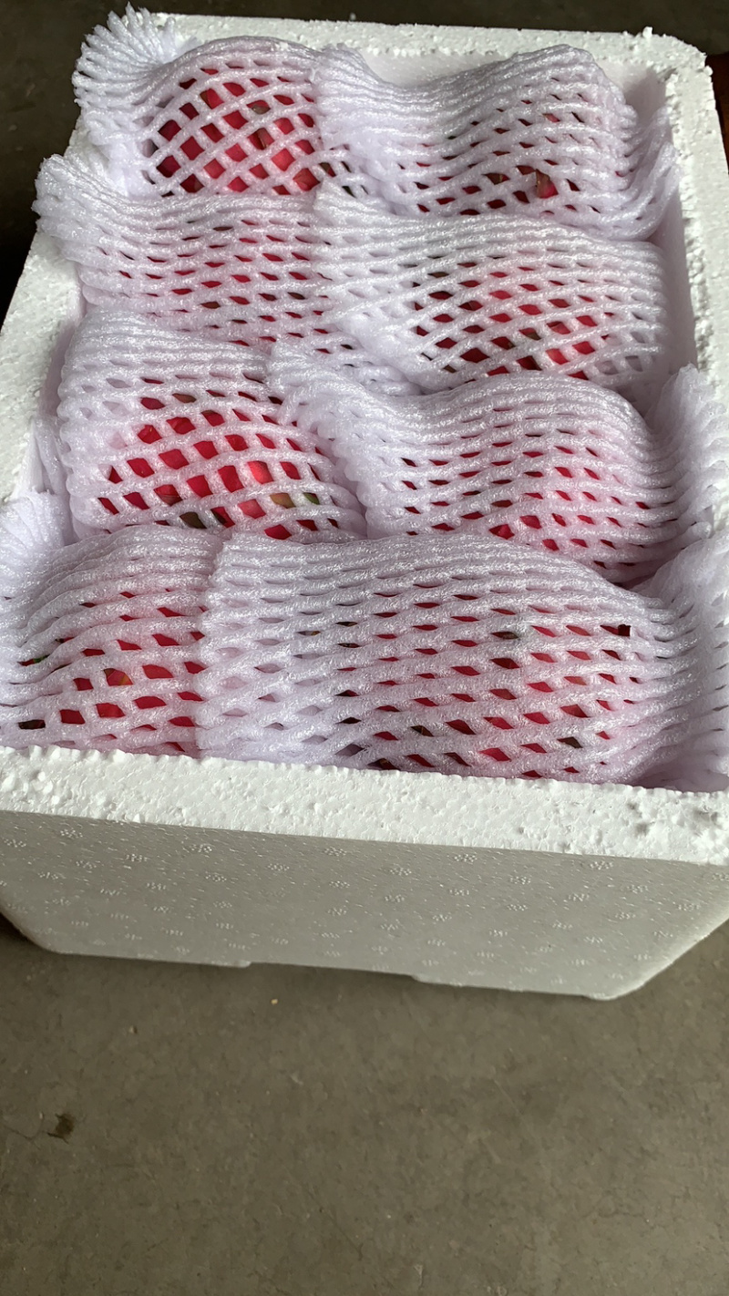 金都一号云南红心火龙果