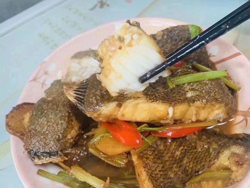 龙利鱼