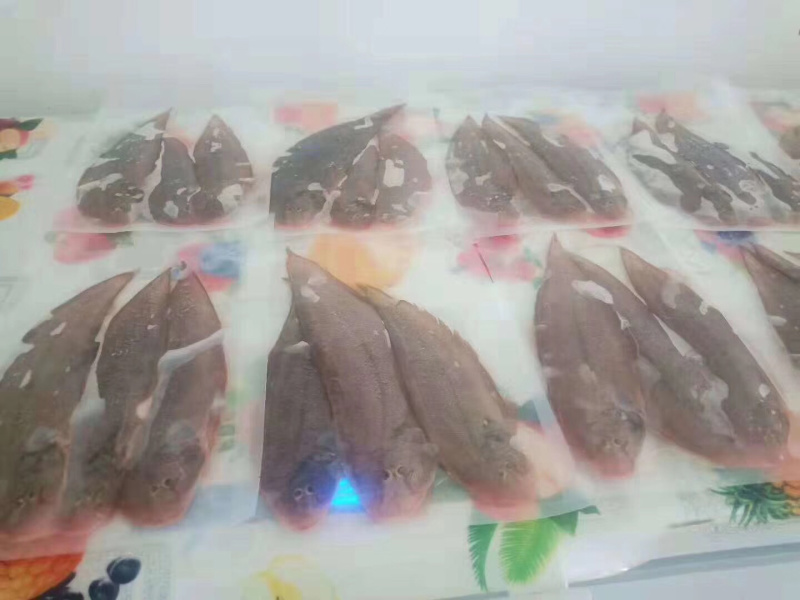 龙利鱼