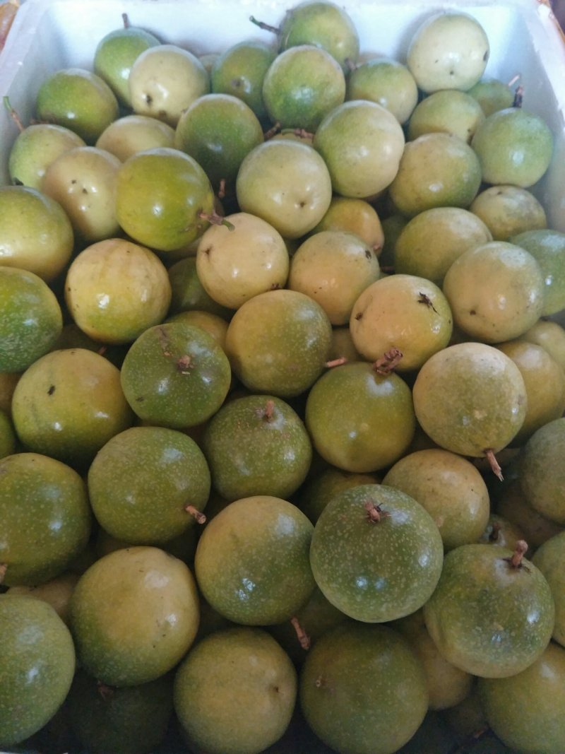 黄金百香果芭乐味