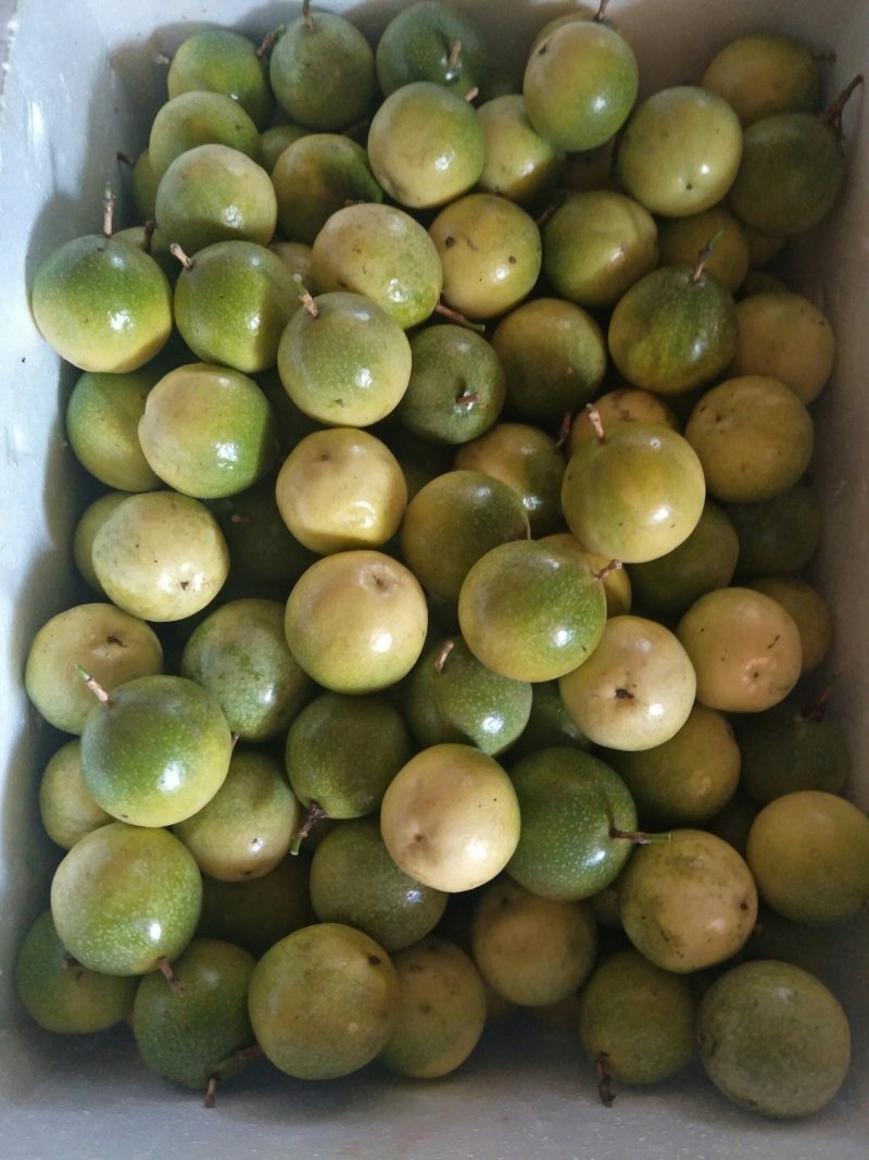 黄金百香果芭乐味