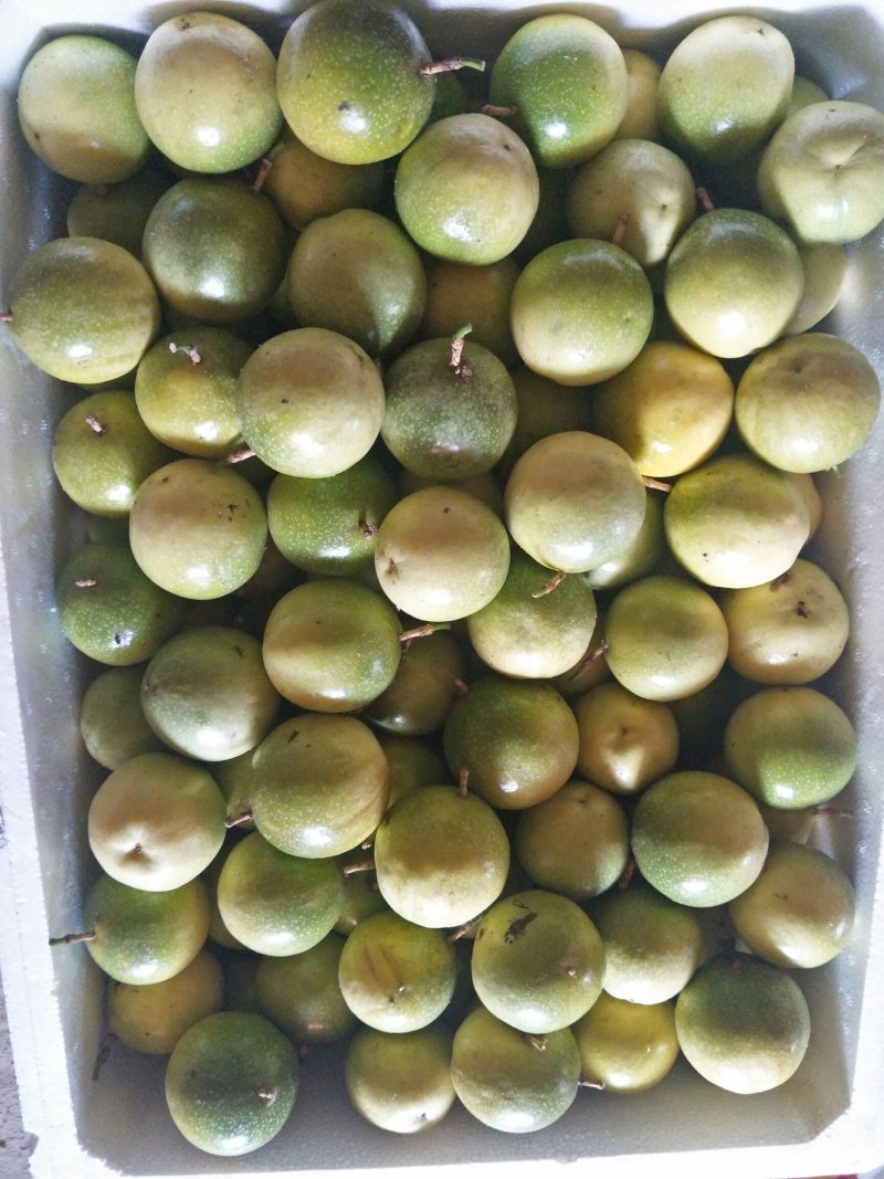 黄金百香果芭乐味