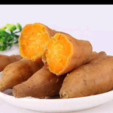 红薯