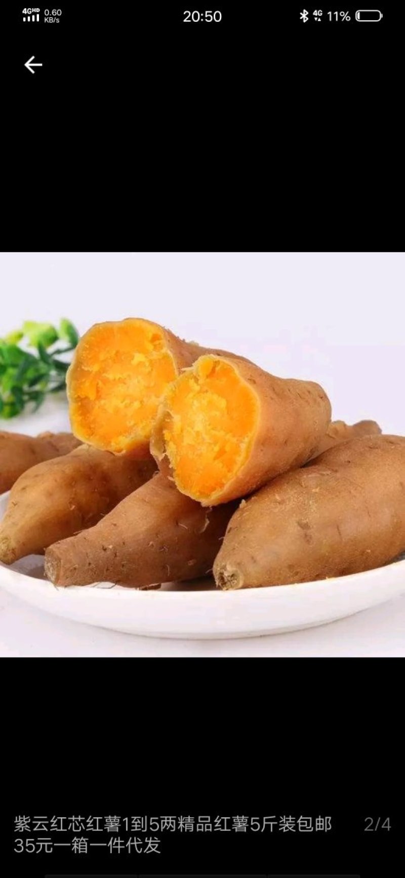 红薯
