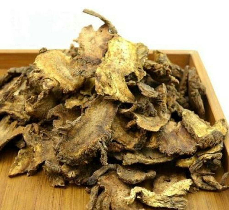 独活千余品种供应承接订单