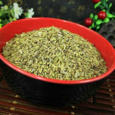 茴香千余品种供应承接订单