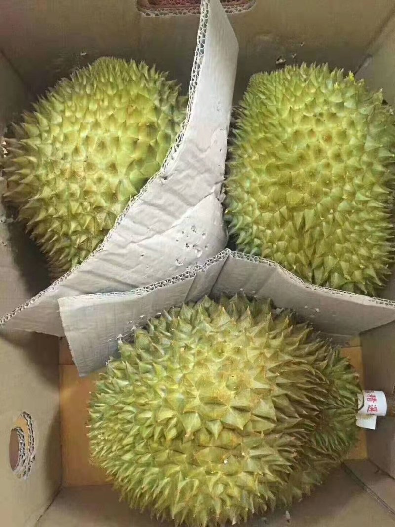 泰国金枕头榴莲