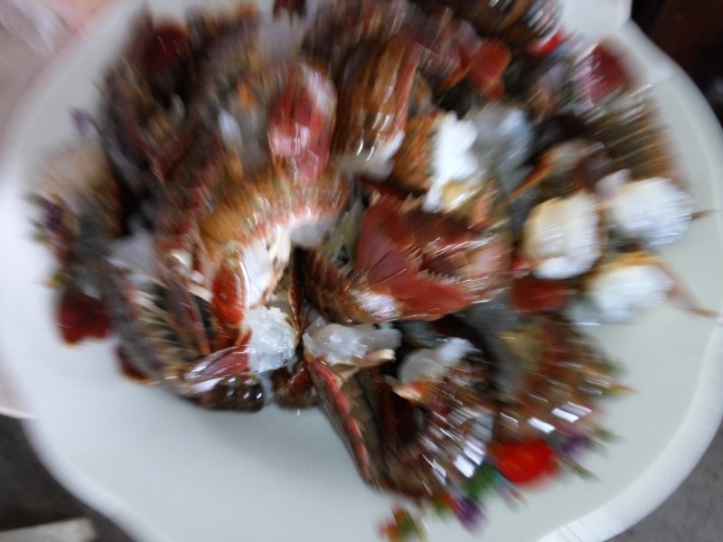 虾尾