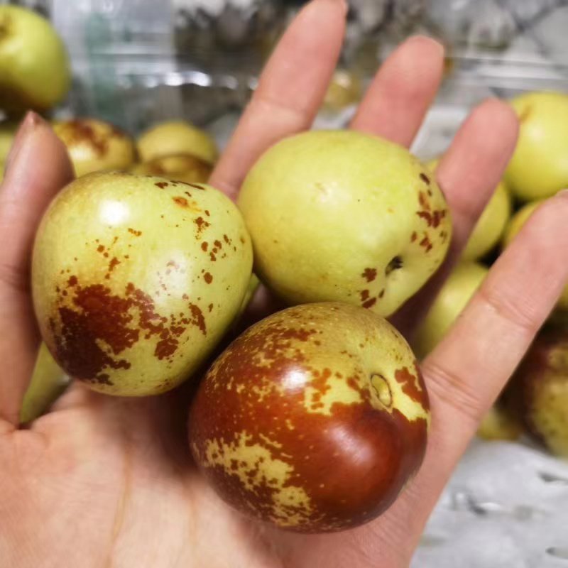 大荔冬枣