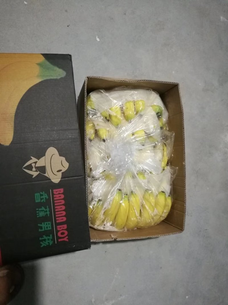 香蕉七成熟