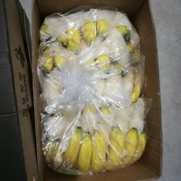香蕉七成熟