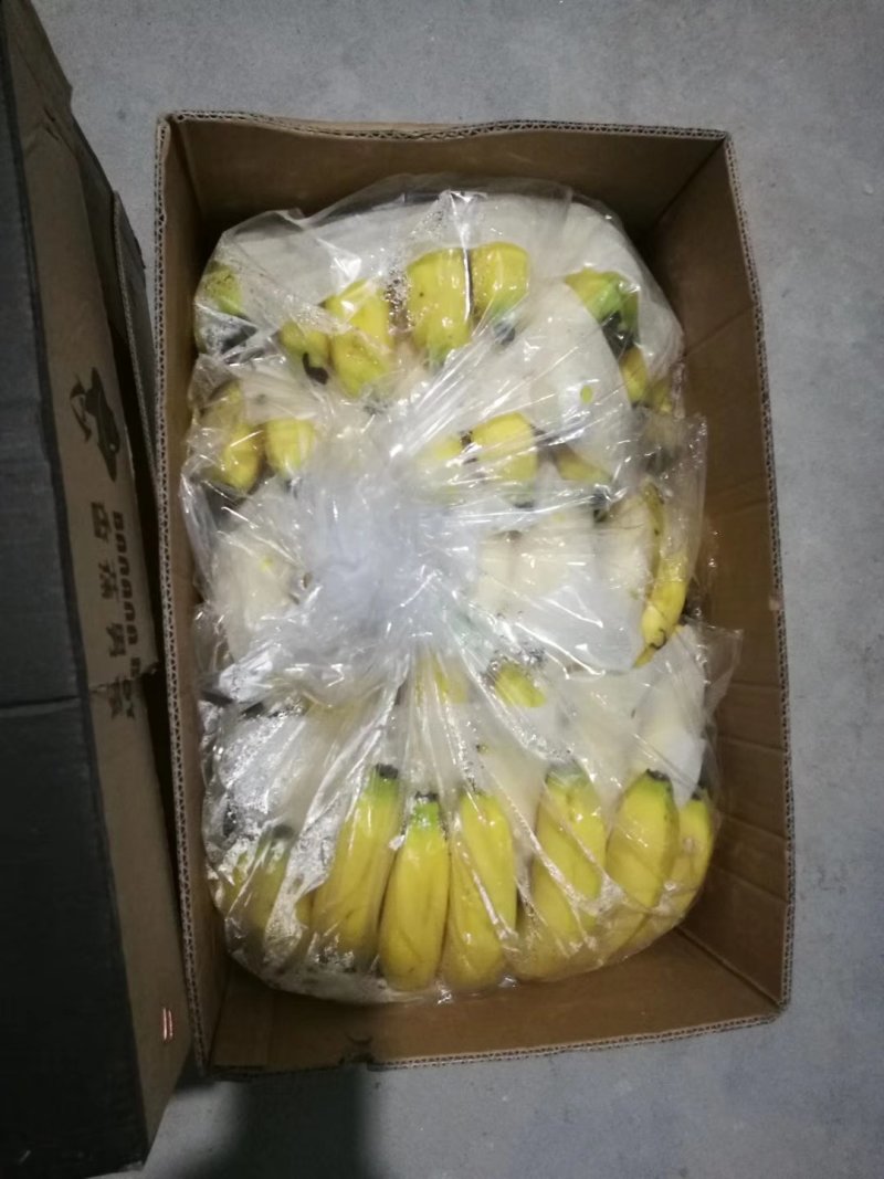 香蕉七成熟