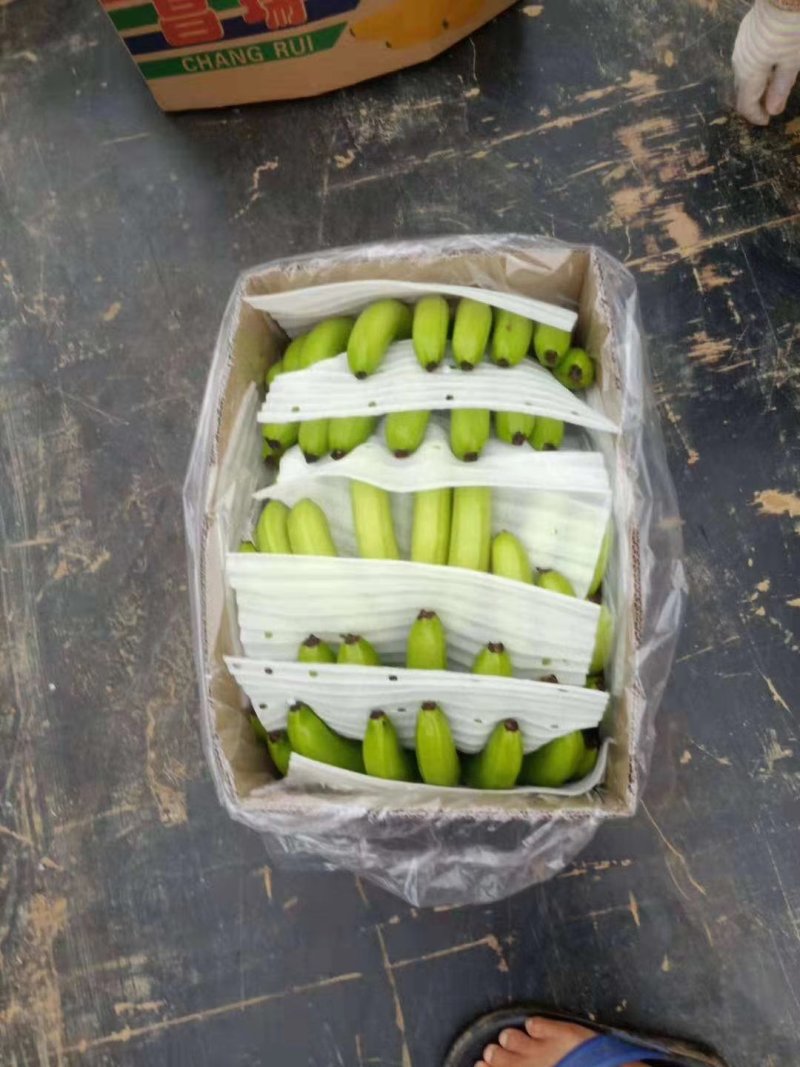 香蕉七成熟