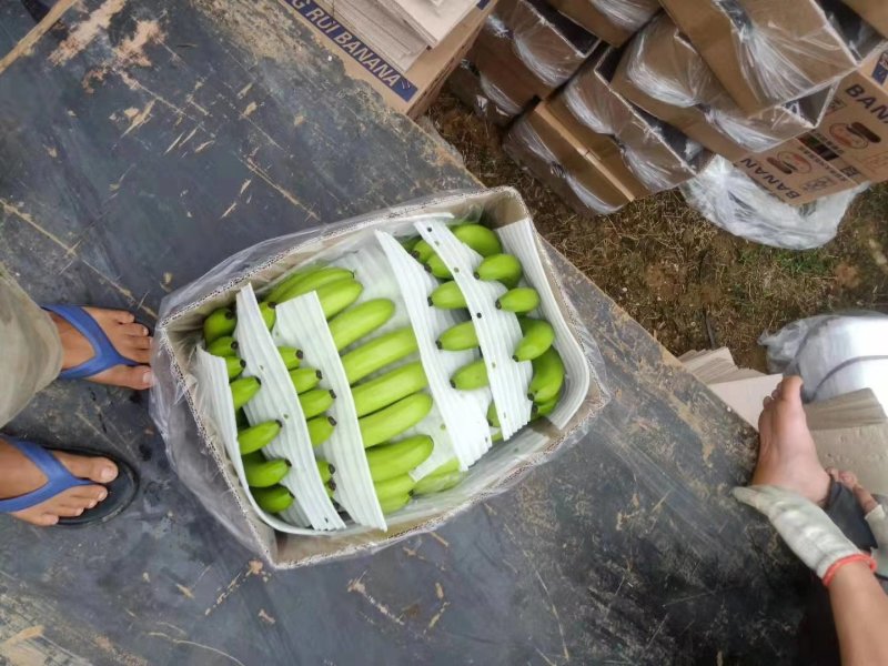 香蕉七成熟