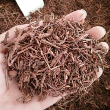 茜草千余品种供应承接订单