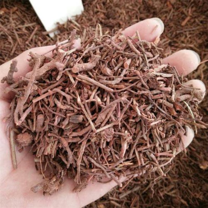 茜草千余品种供应承接订单