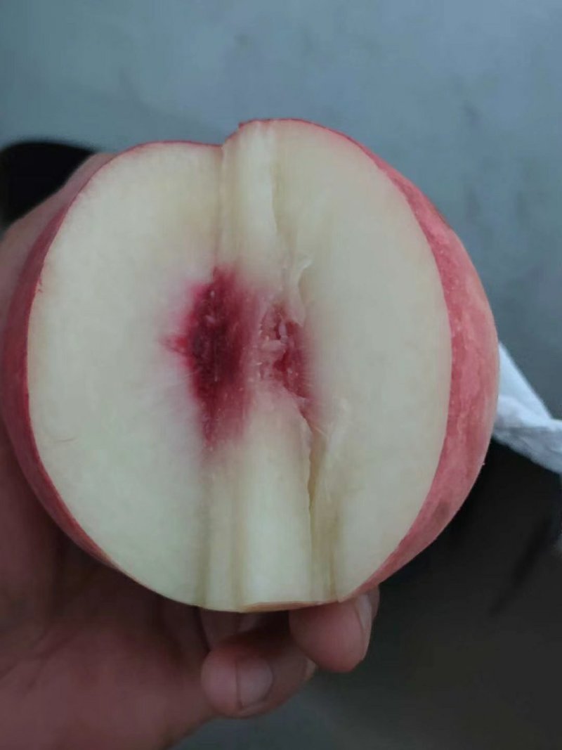 永莲蜜桃