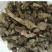 香茶菜千余品种供应承接订单