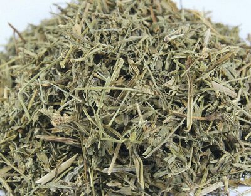 珍珠透骨草千余品种供应承接订单