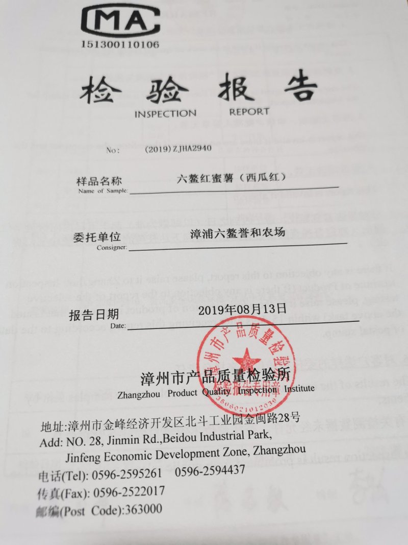 六鳌蜜薯，六鳌红蜜薯，六鳌地瓜，上市中希望与您真诚的合作
