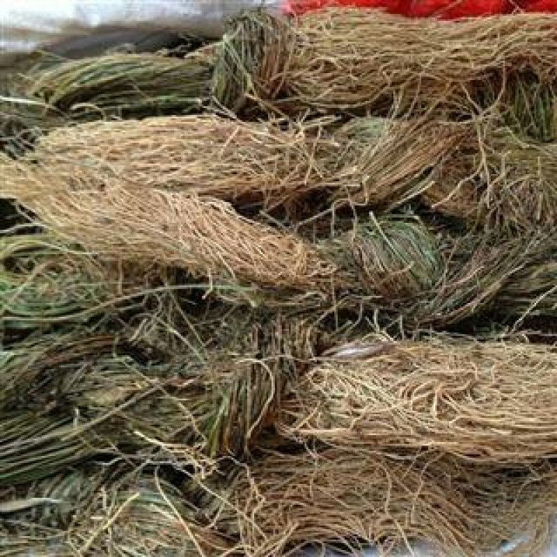 徐长卿千余品种供应承接订单