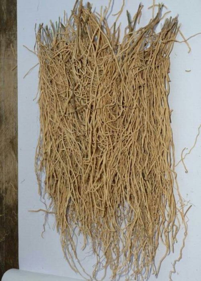 徐长卿千余品种供应承接订单