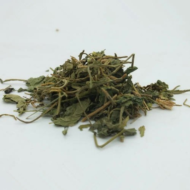 紫花地丁千余品种供应承接订单