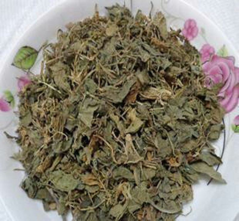 紫花地丁千余品种供应承接订单