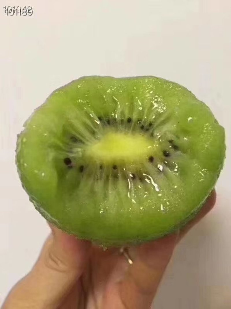 陕西眉县徐香猕猴桃
